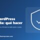 Web WordPress hackeada: qué hacer paso a paso